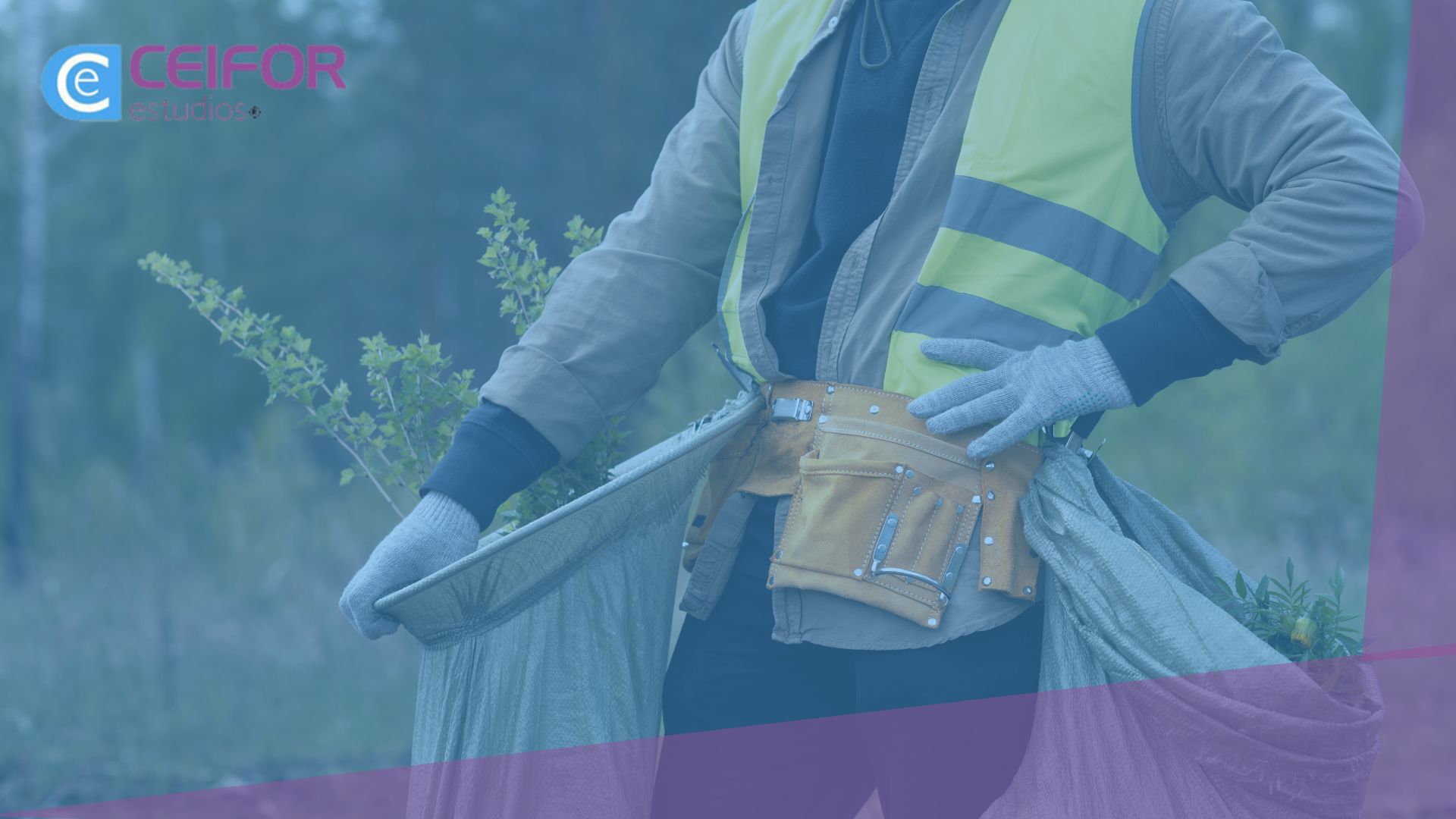 Máster Mediambiente